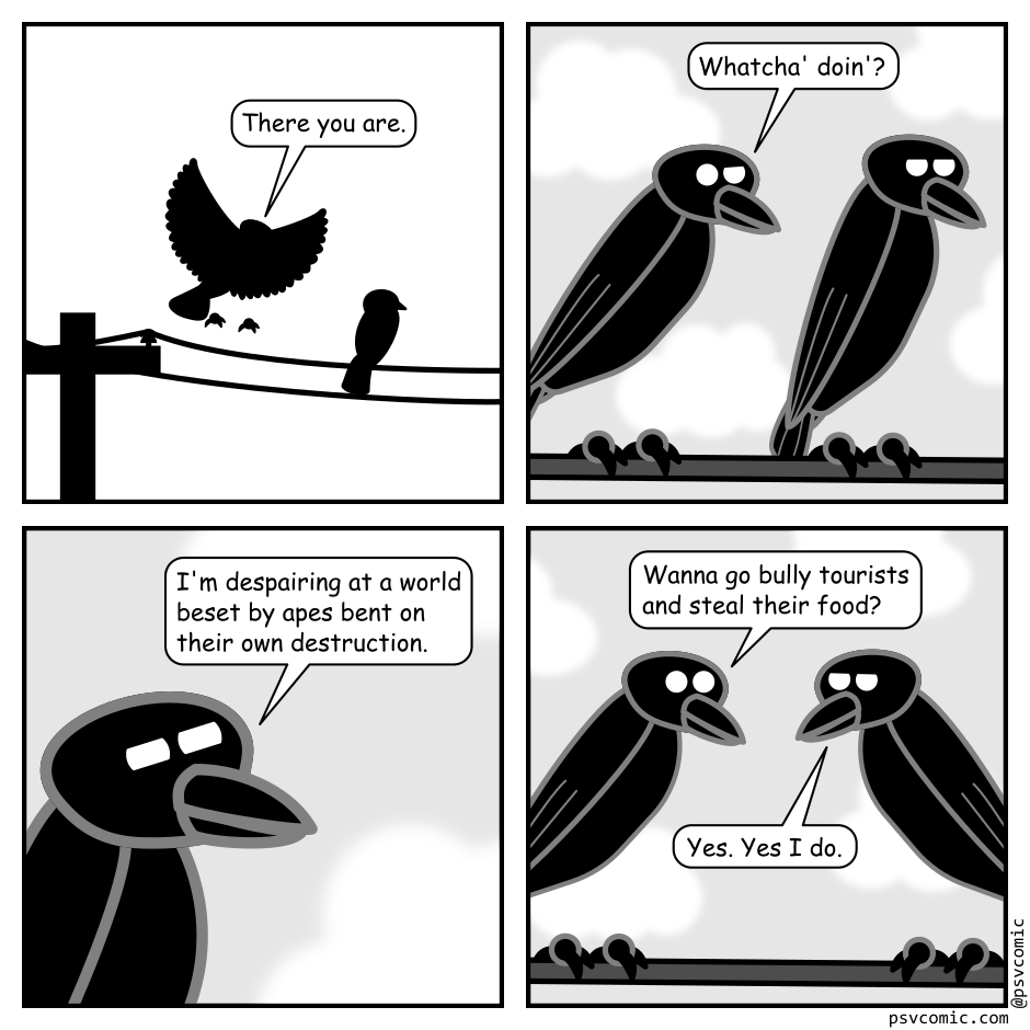 A 4 panel back, white, and grey comic.
Panel 1.
We see the silhouette of a raven landing on a power line next to another raven who is already sitting there.
Raven 1, landing: There you are.
Panel 2.
We see the two ravens beside each other. Raven 2 is looking away from Raven 1.
Raven 1: Whatcha' doin'?
Panel 3.
We zoom in on Raven 2.
Raven 2, pensively: I'm despairing at a world beset by apes bent on their own destruction.
Panel 4.
Cut back out to the two ravens. Raven 2 had turned around.
Raven 1: Wanna go bully tourists and steal their food?
Raven 2: Yes. Yes I do.